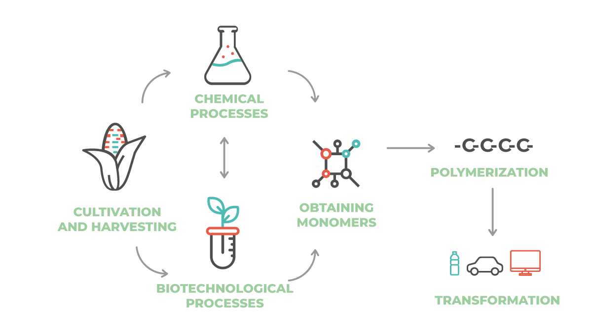 Infographic - Production of bio-based plastics