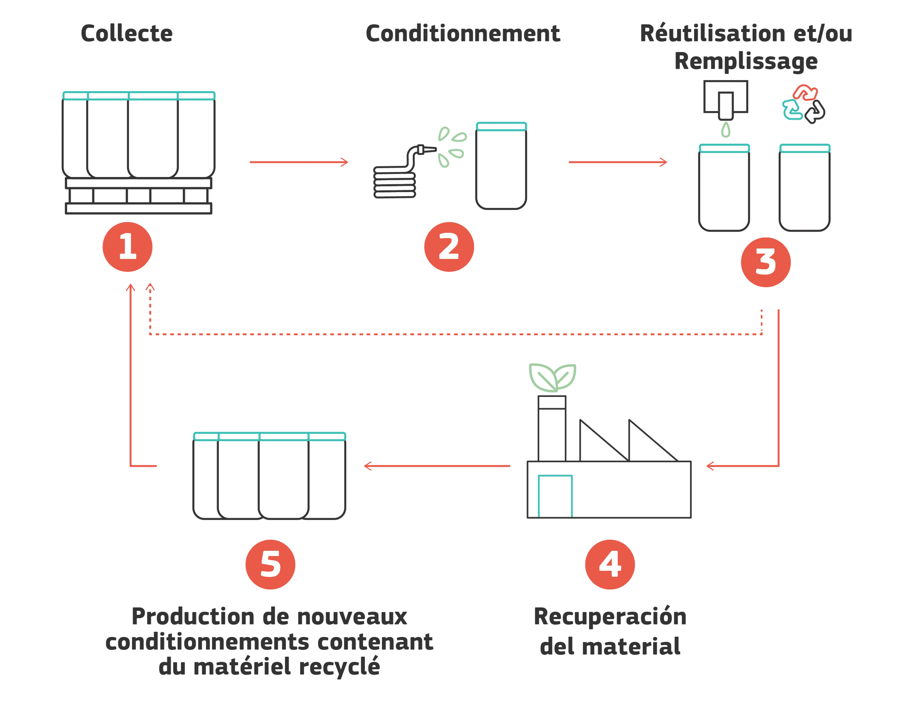 Déchets : comprendre le cycle de collecte et de recyclage en 5 étapes !